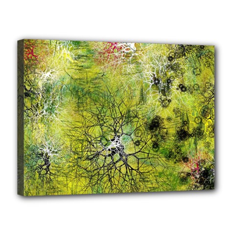 Abstract Spots Lines Green Canvas 16  X 12  (stretched) by Vaneshart