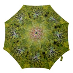 Abstract Spots Lines Green Hook Handle Umbrellas (medium) by Vaneshart