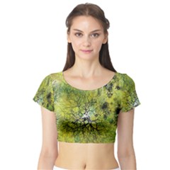 Abstract Spots Lines Green Short Sleeve Crop Top by Vaneshart