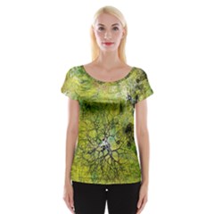 Abstract Spots Lines Green Cap Sleeve Top by Vaneshart