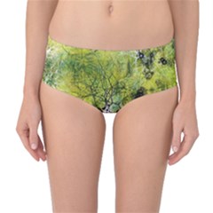 Abstract Spots Lines Green Mid-waist Bikini Bottoms by Vaneshart