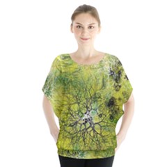 Abstract Spots Lines Green Batwing Chiffon Blouse