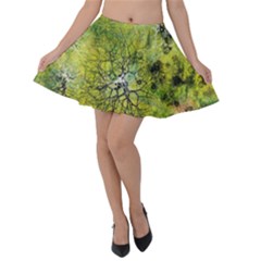 Abstract Spots Lines Green Velvet Skater Skirt