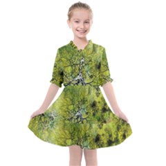 Abstract Spots Lines Green Kids  All Frills Chiffon Dress