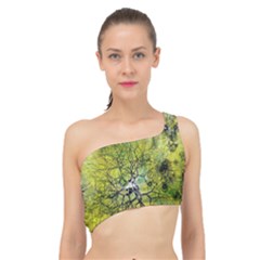 Abstract Spots Lines Green Spliced Up Bikini Top  by Vaneshart