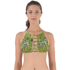 Abstract Spots Lines Green Perfectly Cut Out Bikini Top