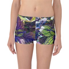 Dark Coleus Reversible Boyleg Bikini Bottoms by Riverwoman