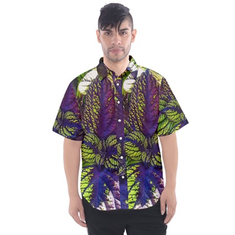 Dark Coleus Men s Short Sleeve Shirt by Riverwoman