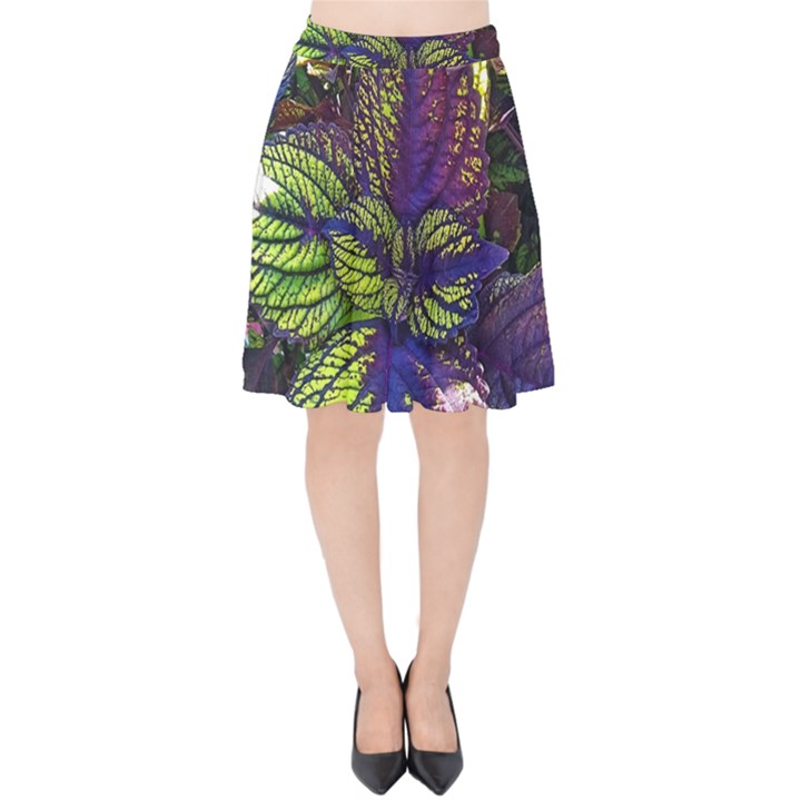 Dark coleus Velvet High Waist Skirt