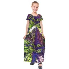 Dark Coleus Kids  Short Sleeve Maxi Dress by Riverwoman