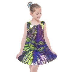 Dark Coleus Kids  Summer Dress by Riverwoman