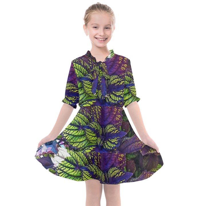 Dark coleus Kids  All Frills Chiffon Dress