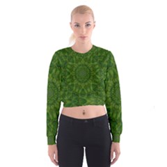 Fauna Nature Ornate Leaf Cropped Sweatshirt by pepitasart