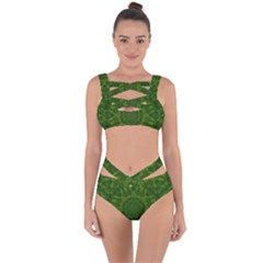 Fauna Nature Ornate Leaf Bandaged Up Bikini Set  by pepitasart