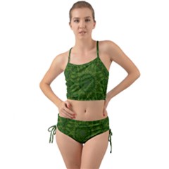 Fauna Nature Ornate Leaf Mini Tank Bikini Set by pepitasart