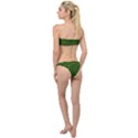 Fauna Nature Ornate Leaf Classic Bandeau Bikini Set View2