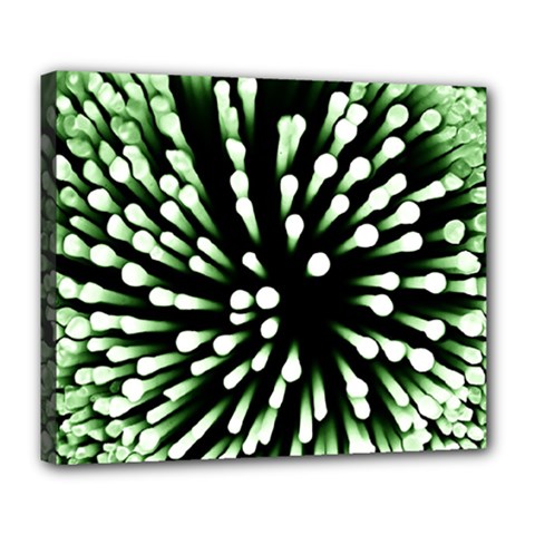 Bacteria Bacterial Species Imitation Deluxe Canvas 24  X 20  (stretched)