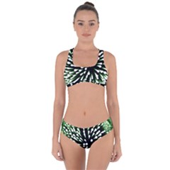 Bacteria Bacterial Species Imitation Criss Cross Bikini Set