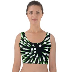 Bacteria Bacterial Species Imitation Velvet Crop Top