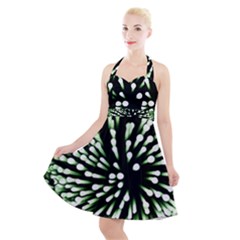 Bacteria Bacterial Species Imitation Halter Party Swing Dress  by HermanTelo