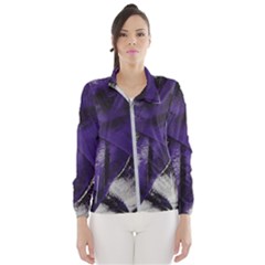 Violet Women s Windbreaker