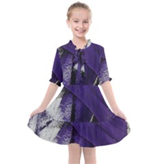 Violet Kids  All Frills Chiffon Dress by WILLBIRDWELL