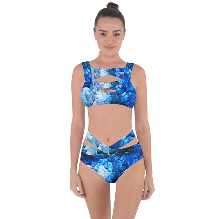 PETALS Bandaged Up Bikini Set 