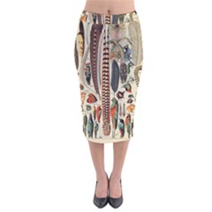 Feathers Birds Vintage Art Velvet Midi Pencil Skirt by Vaneshart