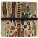 Feathers Birds Vintage Art Seat Cushion View4