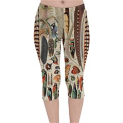 Feathers Birds Vintage Art Velvet Capri Leggings 