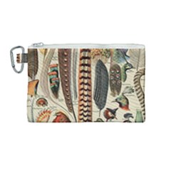 Feathers Birds Vintage Art Canvas Cosmetic Bag (medium) by Vaneshart