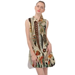 Feathers Birds Vintage Art Sleeveless Shirt Dress