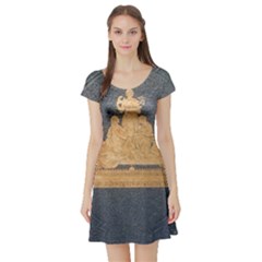 Illustrated Exhibitor 1 Short Sleeve Skater Dress