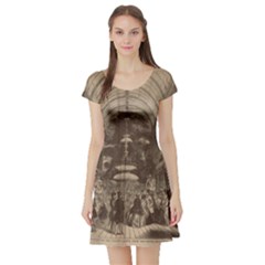 Illustrated Exhibitor Short Sleeve Skater Dress