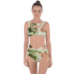 Peony 2507643 1920 Bandaged Up Bikini Set  by vintage2030