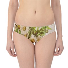 Poppy 2507631 960 720 Hipster Bikini Bottoms by vintage2030