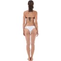 Seamless 1315301 960 720 Perfectly Cut Out Bikini Top View2