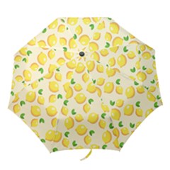 Fruits 1193727 960 720 Folding Umbrellas by vintage2030