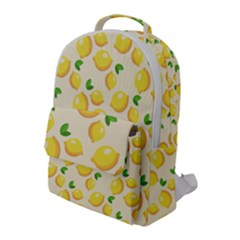 Fruits 1193727 960 720 Flap Pocket Backpack (large) by vintage2030