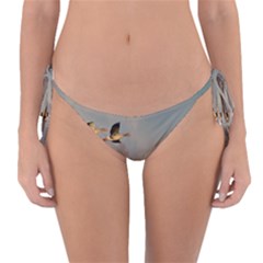 Goose 4002044 960 720 Reversible Bikini Bottom