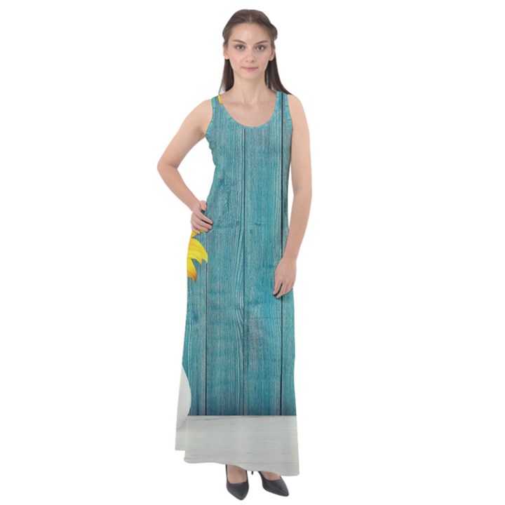 Sun Flower 3292932 960 720 Sleeveless Velour Maxi Dress