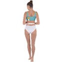 Sun Flower 3292932 960 720 Bandaged Up Bikini Top View2