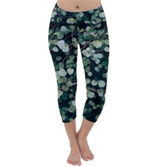 Plant 690078 960 720 Capri Winter Leggings 