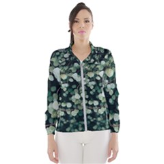 Plant 690078 960 720 Women s Windbreaker