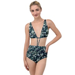 Plant 690078 960 720 Tied Up Two Piece Swimsuit by vintage2030