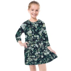 Plant 690078 960 720 Kids  Quarter Sleeve Shirt Dress by vintage2030