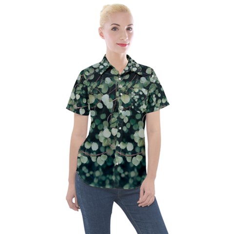 Plant 690078 960 720 Women s Short Sleeve Pocket Shirt by vintage2030