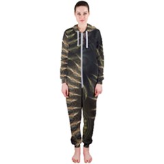 Fractal 2021756 960 720 Hooded Jumpsuit (ladies) 