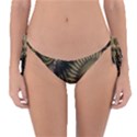 Fractal 2021756 960 720 Reversible Bikini Bottom View1