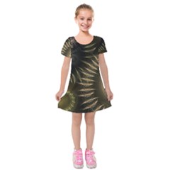 Fractal 2021756 960 720 Kids  Short Sleeve Velvet Dress